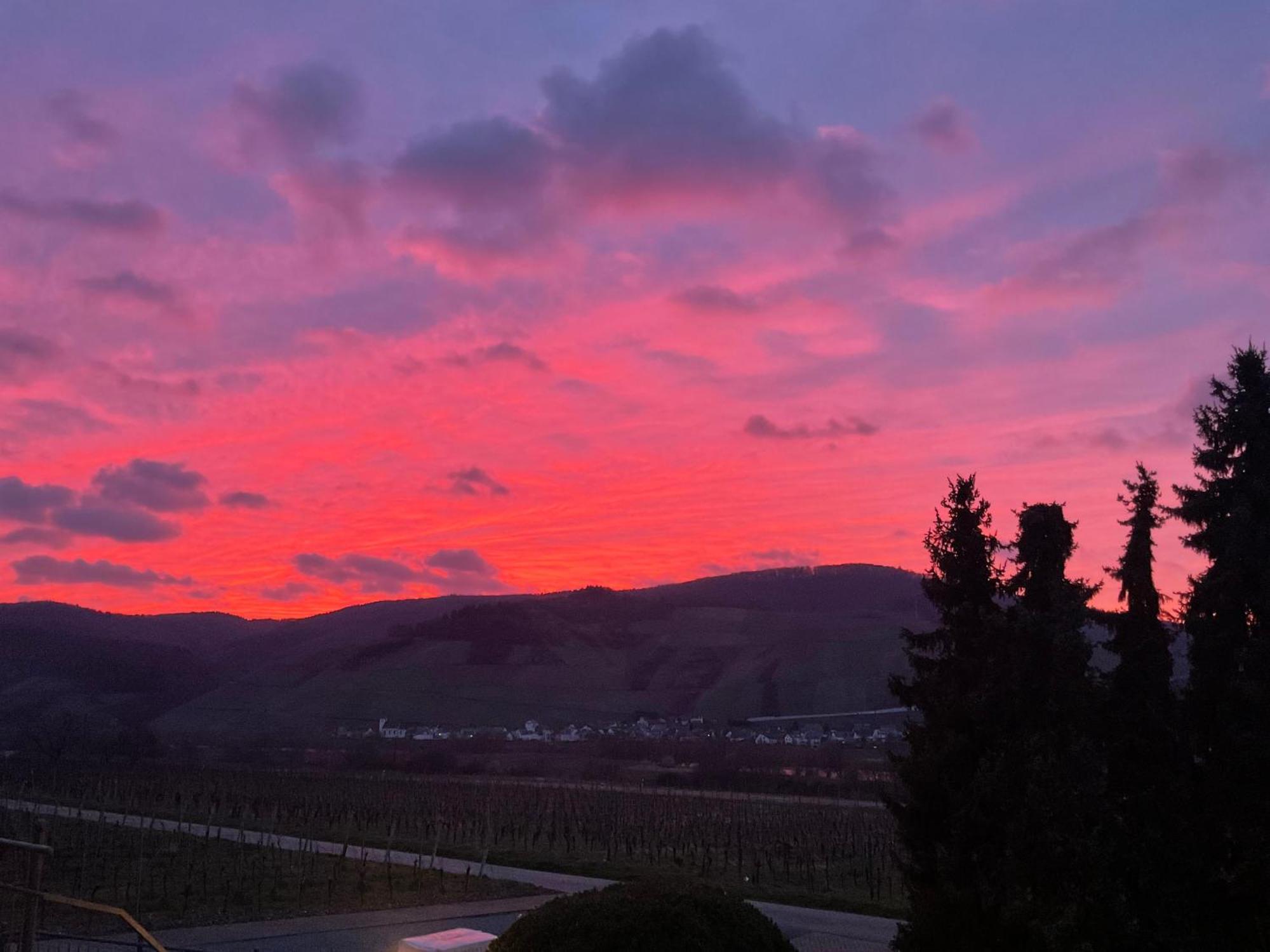 فندق Weingut Bastian برونبيبيرغ المظهر الخارجي الصورة